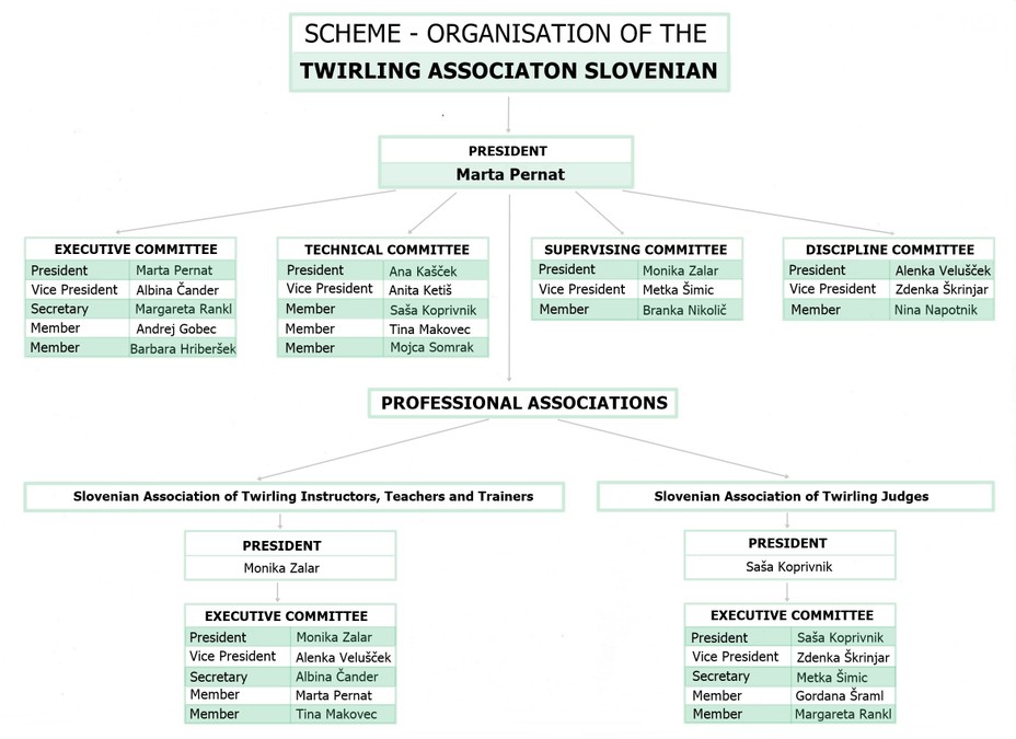Organizacija-TZS---ang
